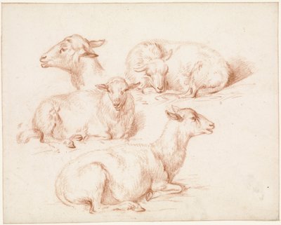 Studieblad met schapen door Pieter Jan Guise