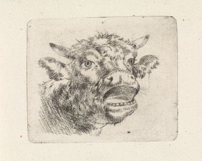 Koeienkop, loeiend door Pieter Janson