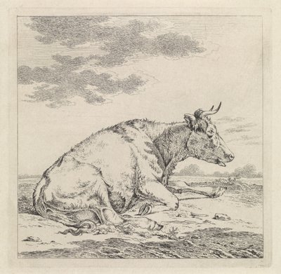 Liggende koe, naar rechts door Pieter Janson
