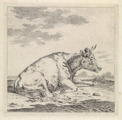 Liggende koe, naar rechts door Pieter Janson