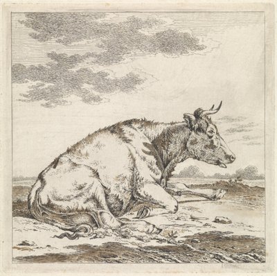 Liggende koe, naar rechts door Pieter Janson
