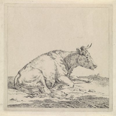 Liggende koe, naar rechts door Pieter Janson
