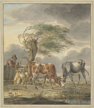 Twee jonge stieren en een koe door Pieter Janson