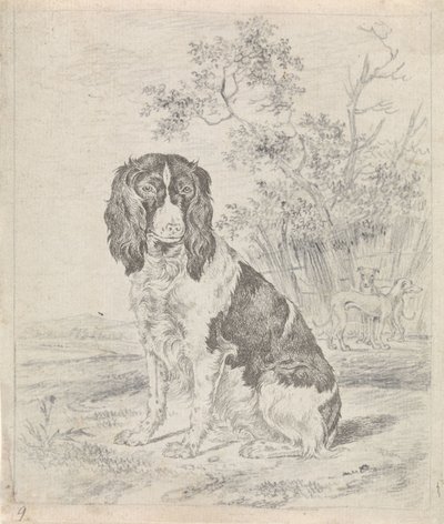 Zittende patrijshond door Pieter Janson
