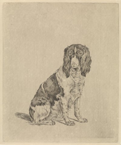 Zittende patrijshond door Pieter Janson