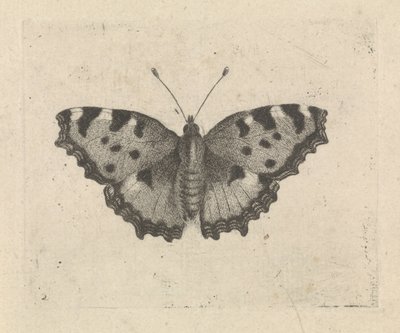 Vlinder door Pieter Lyonet