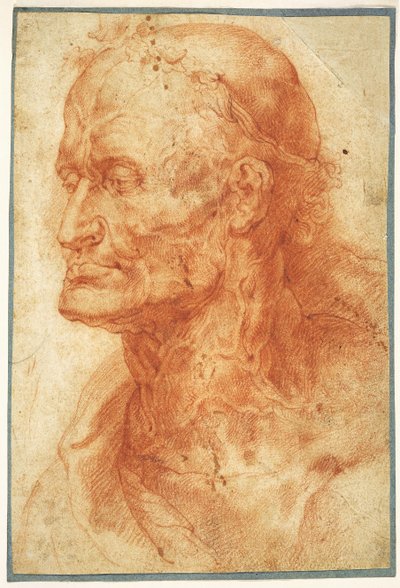 Studie van het hoofd van een oude man door Pieter Paul Rubens