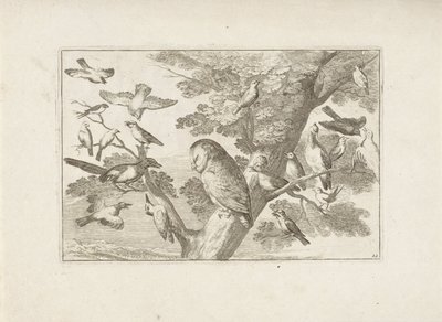 Uil en andere vogels in boom door Pieter Schenk (I) (attributed to)