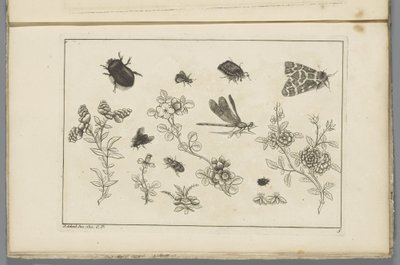 Bloementakken met insecten door Pieter Schenk (II)