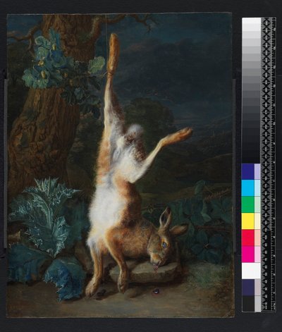 Een dode haas, voor 1782 door Pieter Snyers