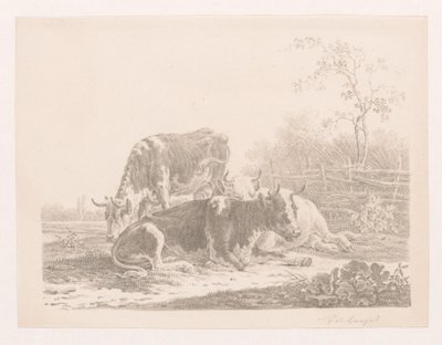 Drie koeien in een weide bij een hek door Pieter de Goeje
