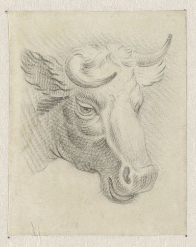 Kop van een koe door Pieter de Goeje