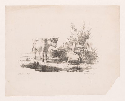 Twee koeien bij een hek en een knotwilg door Pieter de Goeje