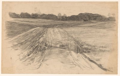 Landweg door het open veld door Pieter de Josselin