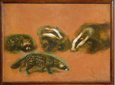Een civetkat en een das (schilderij op doek) door Pieter or Peter Boel