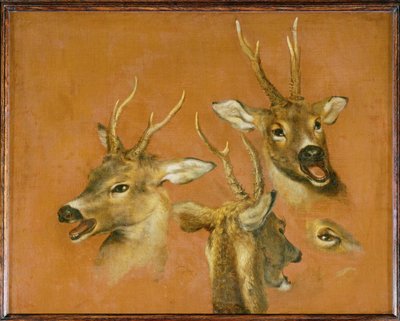 Kopstudies van een reebok (schilderij op doek) door Pieter or Peter Boel