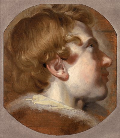 Hoofd van een Jonge Jongen, ca.1620
