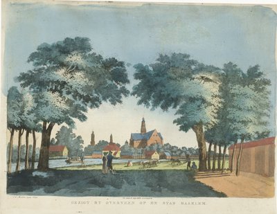 Gezicht op Haarlem vanuit Overveen door Pieter van der Meulen