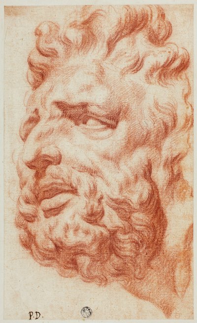 Hoofd van Laocoon door Pietro Dandini