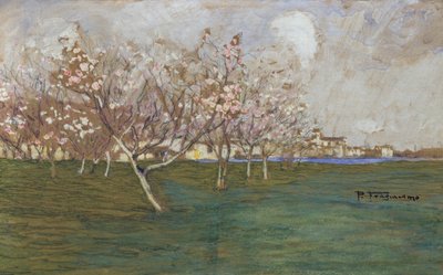 Lente door Pietro Fragiacomo