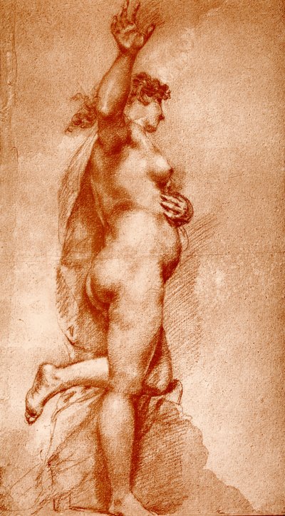 Vrouwelijk naakt door Pietro Liberi