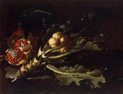 Bloemkool en Granaatappels door Pietro Paolo Bonzi
