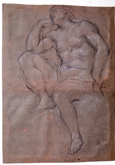 Jonge man, studie door Pietro da Cortona