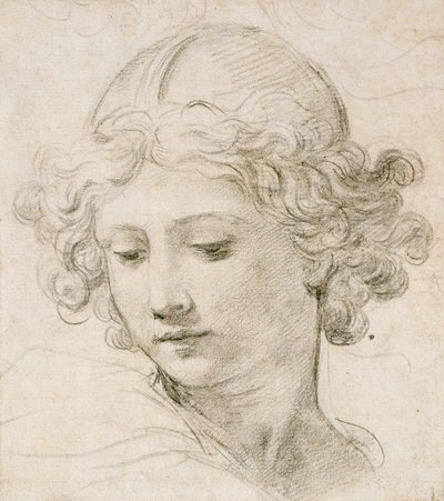 Hoofd van een engel, kijkend naar links door Pietro da Cortona