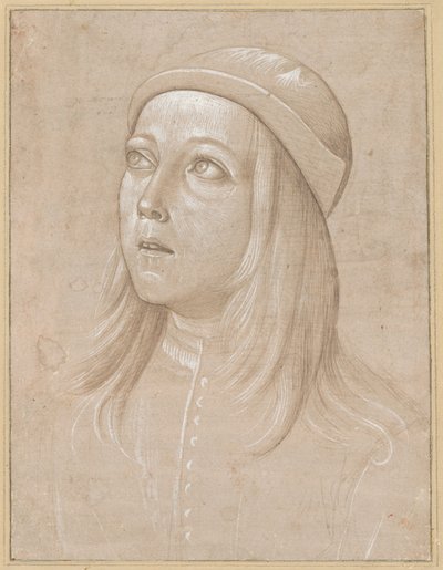 Hoofd van een Jeugd die Omhoog Kijkt door Pinturicchio