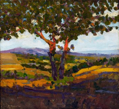 De begroeting van de zon, 1902 door Plinio Nomellini