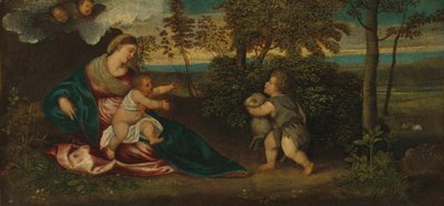 Madonna en Kind en de Jonge Sint Jan in een Landschap door Polidoro Lanzani