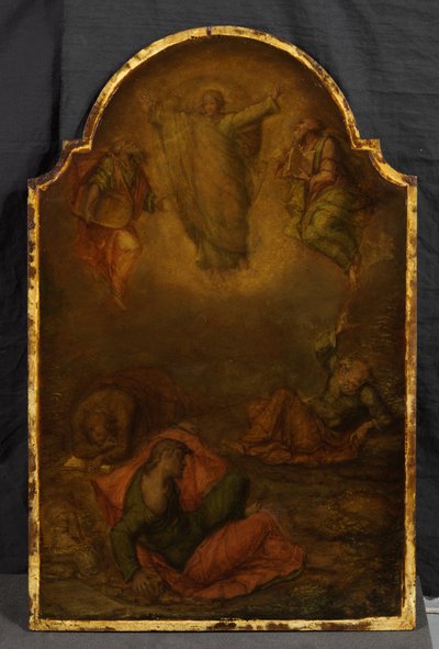 Transfiguratie door Polidoro da (attr. to) Caravaggio