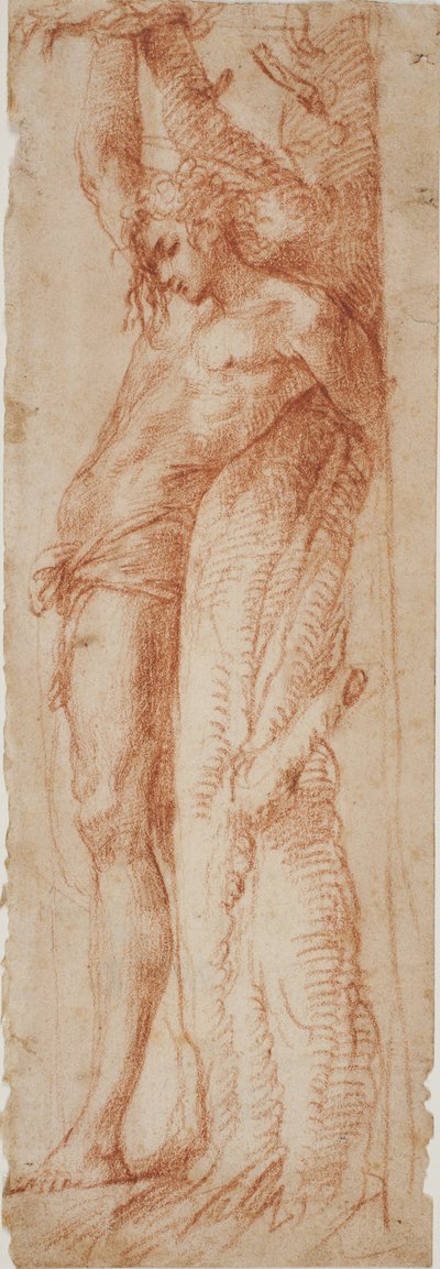Sint Sebastiaan door Polidoro da Caravaggio