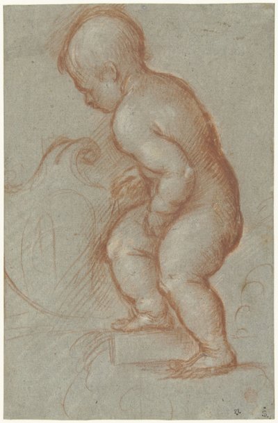 Putto met een wapenschild door Pordenone (attributed to)