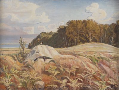 Hunebed aan de rand van het bos. Dyrnæs door Poul S. Christiansen