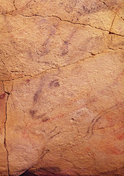 Hoofd van een kleine hert, uit de grotten van Altamira, ca. 15000-8000 v.Chr. door Prehistoric