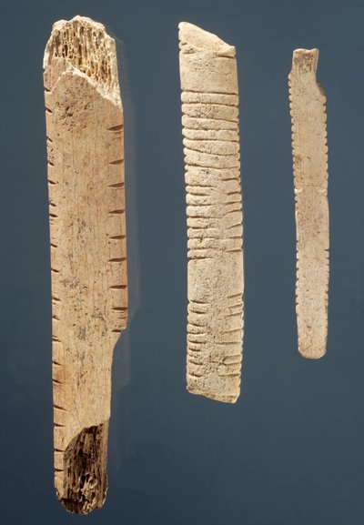 Drie versierde botten door Prehistoric