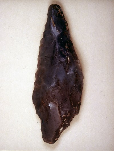 Pijlenpunt in vuursteen. Varèse. Archeologisch museum van Milaan door Prehistoric Prehistoric