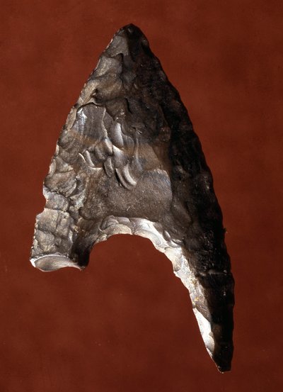 Egyptische oudheid: pijlpunten van de site van Fayoum (Fayyum of Fayum) in Egypte. Predynastieke periode. Verona, Museo Civico di Storia Naturale, Italië door Prehistoric Prehistoric