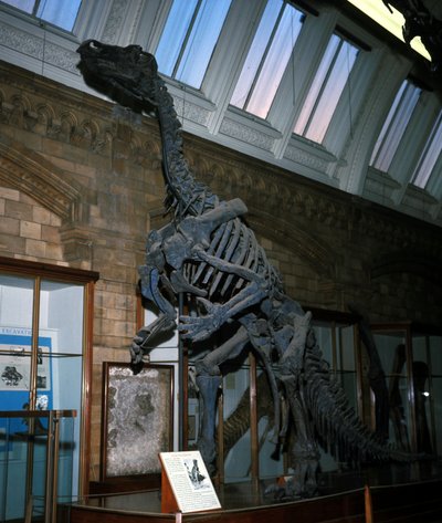 Iguanodon door Prehistoric Prehistoric