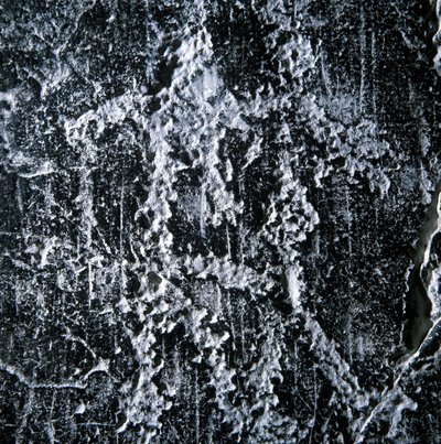 Paringsscène. Prehistorische graffiti in de Camonica-vallei, Foppe di Nardo door Prehistoric Prehistoric