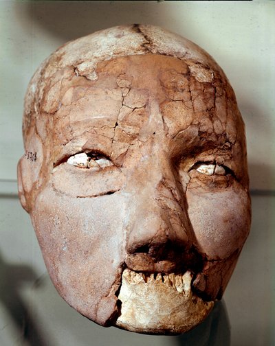 Neolithische kunst: menselijke schedel uit het Stenen Tijdperk (6000-4000 v.Chr.). Uit Jericho, Archeologisch Museum, Amman, Jordanië door Prehistoric Prehistoric