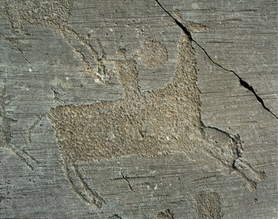 Prehistorie, Camunni beschaving, rotstekeningen: grafsteen met afbeelding van een krijger te paard met een schild. Periode tussen het Neolithicum en de Bronstijd. Capo di Ponte, Parco nazionale delle incisioni rupestri di Naquane, Valcamonica, Italië door Prehistoric Prehistoric