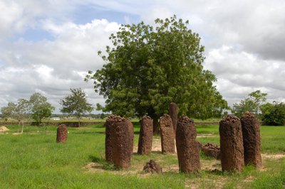 Prehistorie: Megalithische steencirkel van Wassu, Gambia (foto) door Prehistoric Prehistoric