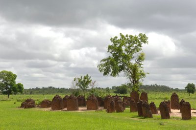 Prehistorie: Megalithische steencirkel van Wassu, Gambia (foto) door Prehistoric Prehistoric