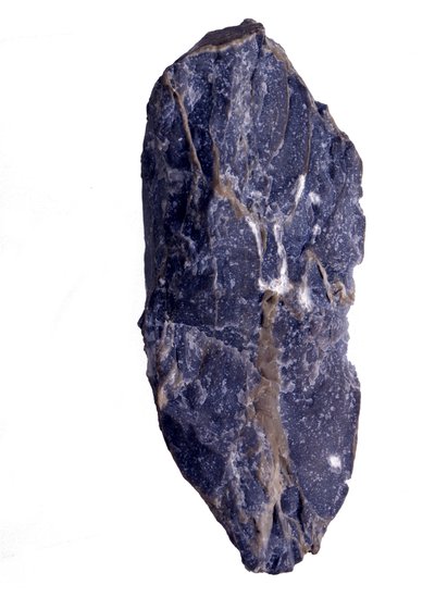 Prehistorie: Perioden van het Archeozoïcum of Precambrium (Archaïsch) fragment van Collenia rots van stromatoliet type. Uit de Verenigde Staten. door Prehistoric Prehistoric