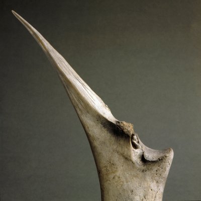 Prehistorie, Polada cultuur: punt van botten uit de Polada Tourbiere, Lonato. Bronstijd. Rome, Museo Nazionale Preistorico Etnografico Luigi Pigorini door Prehistoric Prehistoric