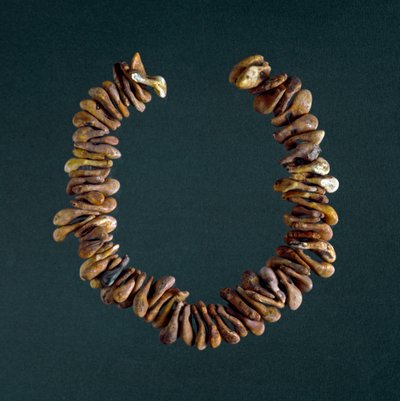 Prehistorie: bottenketting uit de grot van Polesine, Veneto door Prehistoric Prehistoric