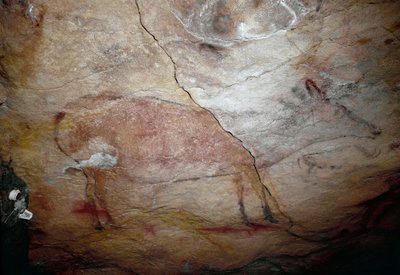 Prehistorie: een hert rotsschildering van het Boven-Paleolithicum (Magdalenien) (tussen 16500 en 14000 jaar geleden) Steentijd Grot van Altamira, Santander, Spanje door Prehistoric Prehistoric