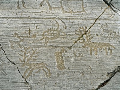 Prehistorie, beschaving van de Camunni, rotstekeningen: grafrots met de voorstelling van herten. Periode tussen het Neolithicum en de Bronstijd. Rots. 1. Capo di Ponte, Parco nazionale delle incisioni rupestri di Naquane, Valcamonica, Val Camonica, Italië door Prehistoric Prehistoric